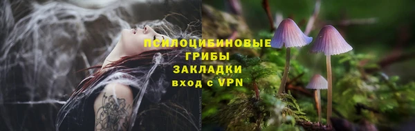 дмт Алексин