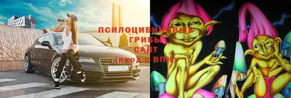 дмт Алексин