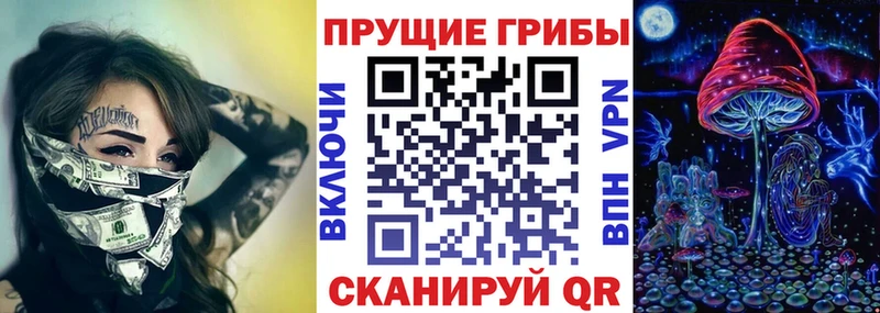 хочу наркоту  Змеиногорск  Псилоцибиновые грибы Cubensis 